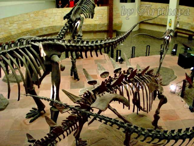 Museum14.JPG